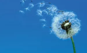 3BE08AAB B27D 4994 A192 2809C0EF4A99