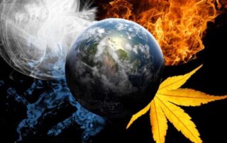 628CD0B0 5FC8 4A4C A417 1849F58E5F9E