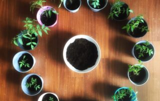 52F4EF49 D4B1 4EBC B081 7351A6036DF3