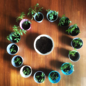 90C604D4 2B90 43E4 9BF2 FAB6FFA9922F